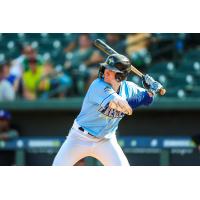 Columbia Fireflies' Brett Squires at bat