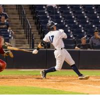 Tampa Tarpons' Jose Colmenares at bat