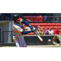 Jesus Chirinos of the Carolina Mudcats