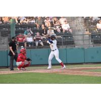 Tri-City Dust Devils at bat