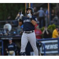 Somerset Patriots outfielder Jasson Dominguez