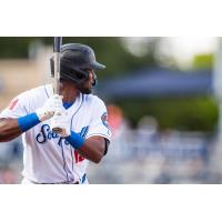 Amarillo Sod Poodles outfielder Neyfy Castillo