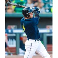 Columbia Fireflies' Trevor Werner At Bat