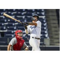 Tampa Tarpons' Kiko Romero at bat