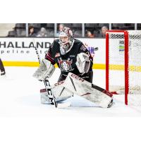 Red Deer Rebels goaltender Chase Coward