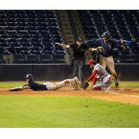 Tampa Tarpons' Cole Gabrielson in action