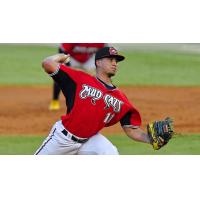 Carolina Mudcats' Yorman Galindez in action