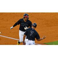 Carolina Mudcats on game night