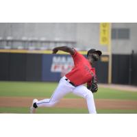 Fayetteville Woodpeckers' Carlos Espinosa in action