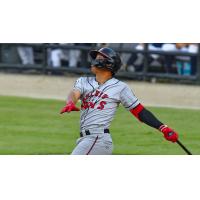 Carolina Mudcats' Jadher Areinamo at bat