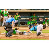 Charleston RiverDogs in a close play at the plate