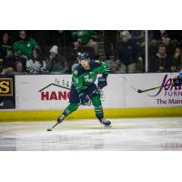 Maine Mariners forward Chase Zieky