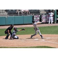 Tri-City Dust Devils at bat