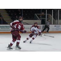 Peterborough Petes on the ice