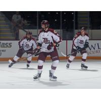 Peterborough Petes' Brian Zanetti in action