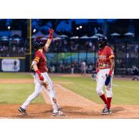 Columbia Fireflies' Brett Squires Celebrates Win