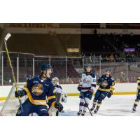 Erie Otters react after a goal