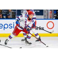 Kitchener Rangers' Adrian Misaljevic on the ice