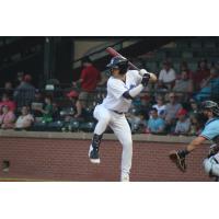 Evansville Otters' Kona Quiggle at bat