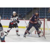 Kelowna Rockets and Kamloops Blazers on the ice