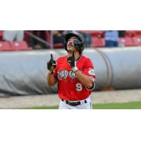 Carolina Mudcats' Jace Avina on game night