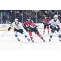 Kelowna Rockets' John Babcock in action