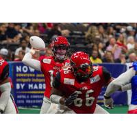 Jacksonville Sharks quarterback Conor Blount