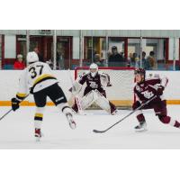 Peterborough Petes' Easton Rye battles Kingston Frontenacs' Adam Cavallin