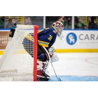 Goaltender David Tendeck with the Atlanta Gladiators