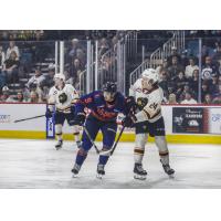 Kamloops Blazers battle the Vancouver Giants