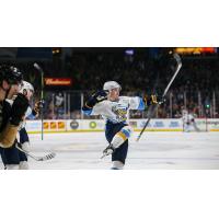 Toledo Walleye react following a goal