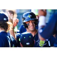 Columbia Fireflies third baseman Trevor Werner