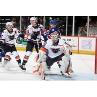 Lehigh Valley Phantoms goaltender Nolan Maier