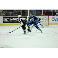 Vancouver Giants' Adam Titlbach varsus Swift Current Broncos' Owen Pickering