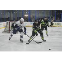 Jacksonville Icemen's Riley Fiddler-Schultz battles Savannah Ghost Pirates' Tanner Vescio