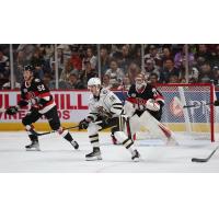 Hershey Bears' Pierrick Dubé and Belleville Senators' Nikolas Matinpalo and Mads Sogaard in action