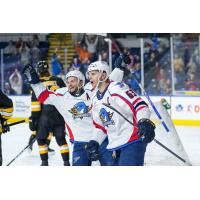 Springfield Thunderbirds celebrate a goal against the Providence Bruins