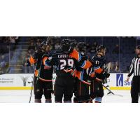 San Diego Gulls' Judd Caulfield celebrates with team