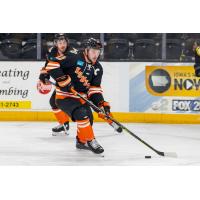 Forward Anthony Petruzzelli with the Fort Wayne Komets