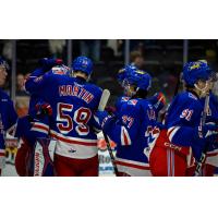 Kitchener Rangers' Mitchell Martin celebrates with team