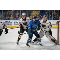 Springfield Thunderbirds battle the Lehigh Valley Phantoms