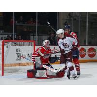 Oshawa Generals' Jacob Oster and Peterborough Petes' Braydon McCallum on game night