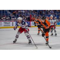 Hartford Wolf Pack's Alex Belzile and Lehigh Valley Phantoms' Logan Day on the ice