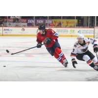 Springfield Thunderbirds forward Adam Gaudette