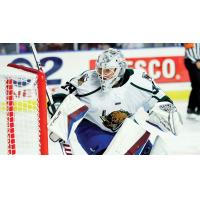 Utah Grizzlies goaltender Garrett Metcalf