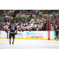 Tucson Roadrunners defensemen Curtis Douglas celebrates on the Tucson bench