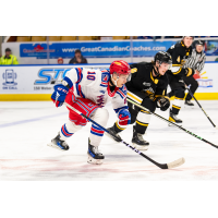 Kitchener Rangers' Adrian Misaljevic in action