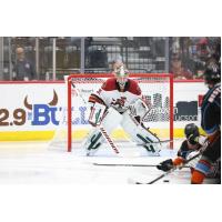 Tucson Roadrunners goaltender Matthew Villalta