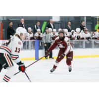 Peterborough Petes forward Nathan Leek