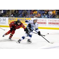 Victoria Royals centre Cole Reschny